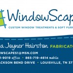 WindowScapes Business Card (front) (Copyright © 2009 Ashley D. Hairston)